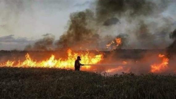 إصابة جندي إسرائيلي شرق قطاع غزة بحرائق البالونات 
