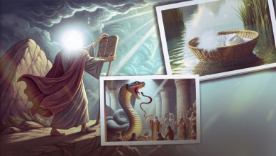 الربط على القلوب.. سنّة إلهية تمد الأمة بالثبات في أحلك الظروف