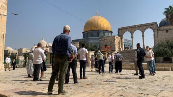 فلسطين المحتلة..اقتحامات للأقصى واعتقالات بالضفة