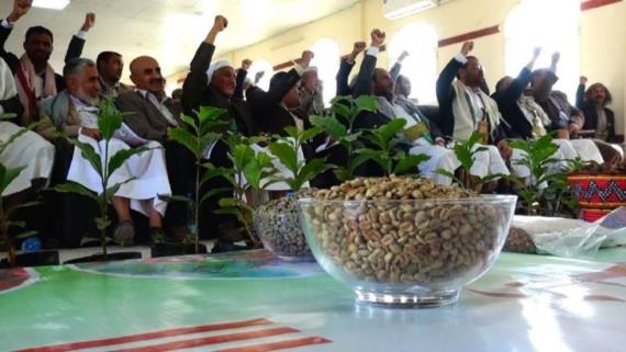 ورشة عمل بصعدة لتحسين إنتاج وتسويق البن