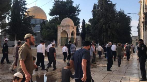 المستوطنون يستبيحون الأقصى المبارك بأعداد كبيرة