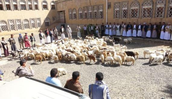 أبناء المحويت يرفدون جبهات القتال بقافلة “إعصار اليمن” الثانية