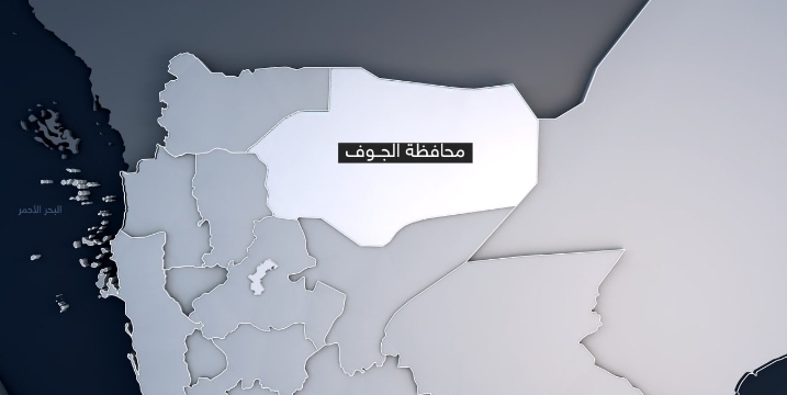 السلطة المحلية في الجوف : العدوان الصهيوني لن يزيدنا إلا إصراراً على نصرة غزة