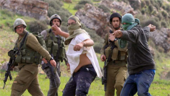 مستوطنون صهاينة يعتدون على قريتين فلسطينيتين جنوب الخليل
