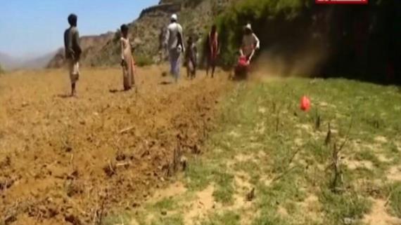 بلدة طيبة ورب غفور