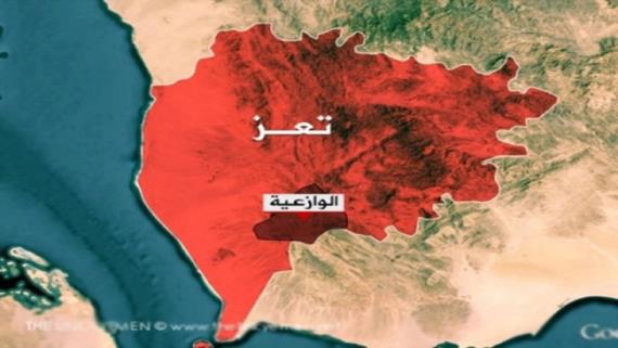 تعز .. عمليات عسكرية واسعة للجيش واللجان بمديرية الوازعية (تفاصيل)