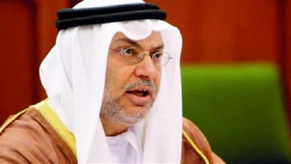 قرقاش: قطر تعسكر الأزمة السورية وتعرقل حلها سلمياً