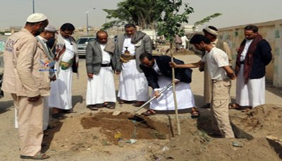 بدء المرحلة الأولى لتشجير الشوارع الرئيسية بمدينة صعدة تحت شعار