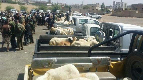 البيضاء: أبناء قيفة يسيرون قافلة غذائية ومالية دعما لأبطال الجيش واللجان الشعبية