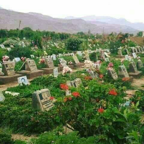 شهداؤنا سقطوا في خط الشهادة الحقيقي بكل الاعتبارات