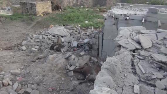 أضرار مادية ونفوق مواشي في غارة للعدوان على منطقة بركان بصعدة