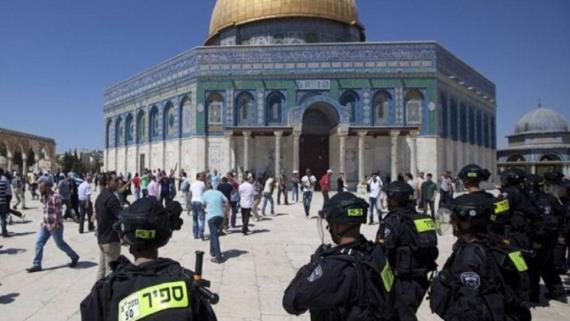 أكثر من 150 مستوطن صهيوني يدنسون الأقصى المبارك