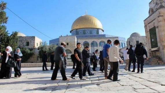 81 مستوطنا صهيونيا يدنسون الأقصى المبارك