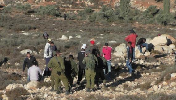 مستوطنون يهاجمون قاطفي الزيتون في بورين جنوب نابلس