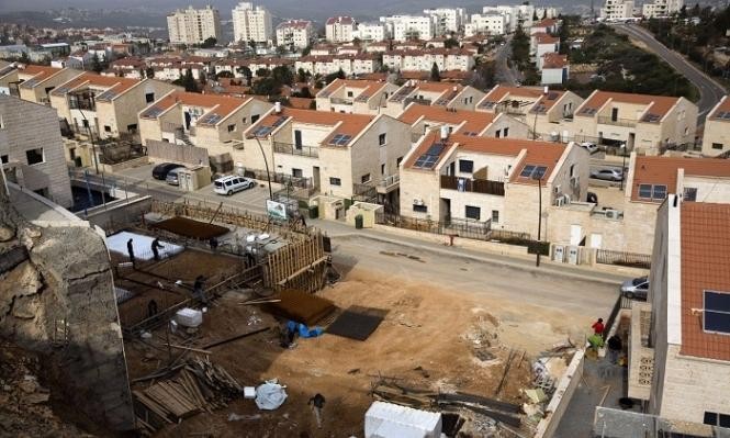 الخارجية الفلسطينية: الإنفلات الإستيطاني يكشف عجز المجتمع الدولي والأمم المتحدة ومؤسساتها