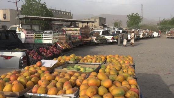 أبناء الكدن بمديرية الضحي يسيرون قافلة غذائية رمضانية دعما للمجاهدين