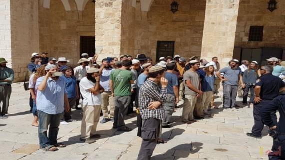 120 مستوطنا وشرطيا صهيونيا يدنسون الأقصى المبارك
