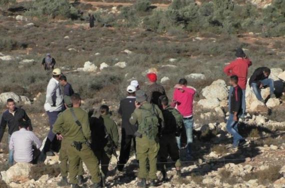 مستوطنون صهاينة يعتدون على ممتلكات الفلسطينيين في سلفيت بالضفة الغربية