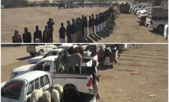قبائل ولد مسعود بصعدة يرفدون المرابطين في الجبهات بقافلة النصر