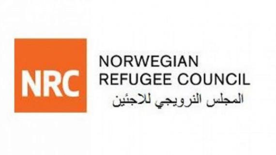 المجلس النرويجي للاجئين : الحرب أعادت التنمية الانسانية في اليمن 21 عاماً وسلبت مستقبل جيل كامل