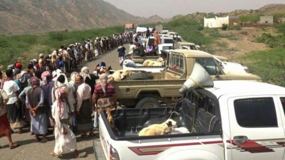 تسيير قافلة نقدية وعينية دعما للجبهات من قبائل بلاد الطعام بريمة