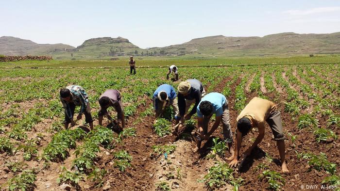 مفهوم التنمية الاقتصادية في المشروع القرآني”2? 