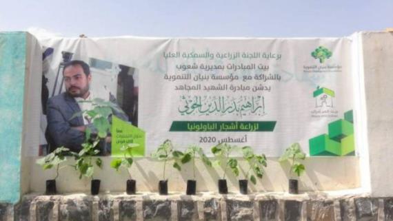 تنفيذ مبادرة الشهيد إبراهيم الحوثي لزراعة أشجار الباولونيا بصنعاء