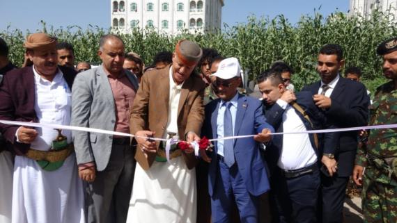 افتتاح سوق مركزي للأسماك والأحياء البحرية في إب