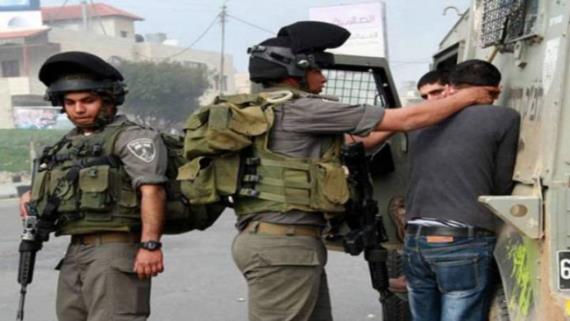 قوات العدو تعتقل 12 فلسطينيا وتجرف الأراضي الزراعية بالضفة وغزة