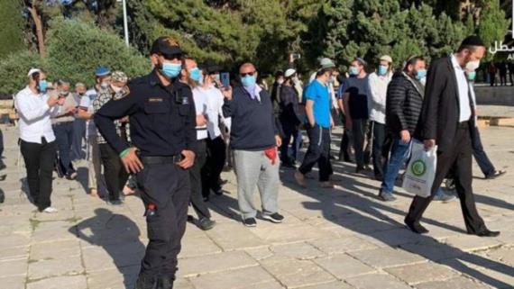 عشرات الصهاينة يدنسون باحات المسجد الأقصى