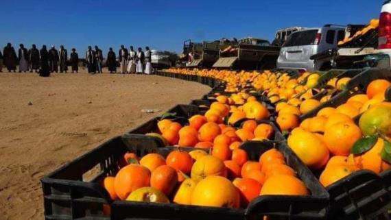 قافلة من أبناء آل سالم بصعدة دعما واسنادا للمرابطين في الجبهات