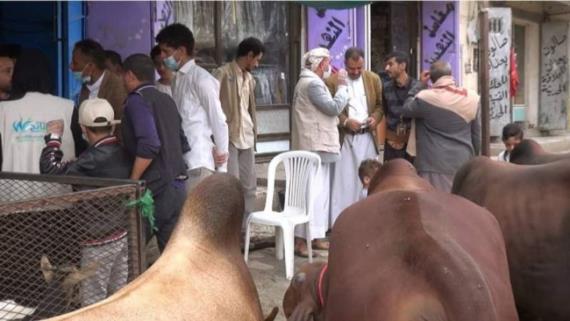 تدشين حملة توعوية للحد من ظاهرة ذبح صغار وإناث المواشي