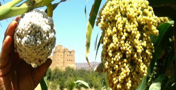 وجوب العودة الصادقة إلى الله عزَّ وجلَ للحصول على الدعم الإلهي (3)