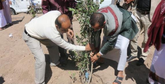 محافظ تعز يدشن تشجير وزارعة 1200 شتلة متنوعة