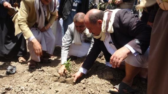 نائب وزير الزراعة يدشن حملة غرس 30 مليون شتلة في إب
