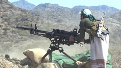 مناورة لخريجي دورات التعبئة في شرعب الرونة بتعز