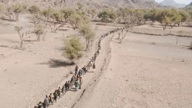 مسيران ومناورتان لقوات التعبئة في الشعاور والأجعوم في حزم العدين بإب