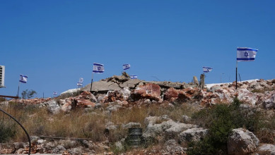 مستوطنون صهاينة يعتدون على شبان في نابلس ويقطعون أشجار زيتون معمرة