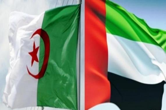 الجزائر تفجّرها في وجه الإمارات: أنتم عاصمة الفتنة