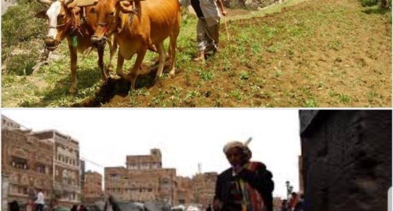 معوقات الإنتاج الداخلي (1)