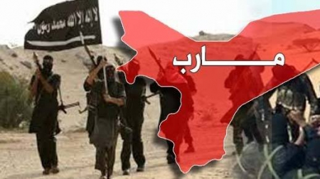 مأرب تكشف عن التحالف الخفي بين القاعدة وتحالف العدوان