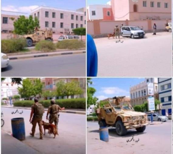 الأطماع الأمريكية في حضرموت من “بان أمريكان” في ثمود إلى كلاب واشنطن في غيل باوزير