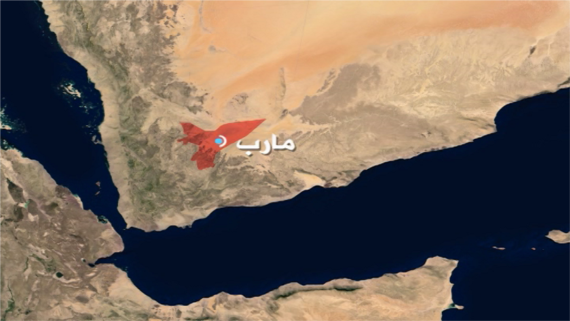 السلطة المحلية بمأرب تدين جريمة مرتزقة العدوان بحق الشيخ أحمد بليم المرادي