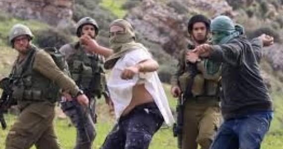 مستوطنون صهاينة يستولون على 20 دونماً في جالود بنابلس