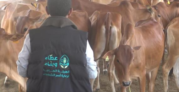 هيئة رعاية أسر الشهداء تدّشن مشاريع التمكين الاقتصادي بالحديدة